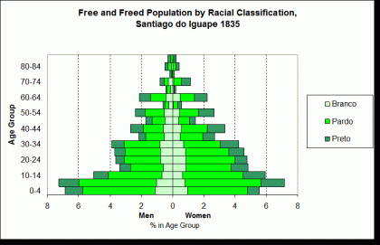 Iguape Free and Freed Population by Racial Category 1835