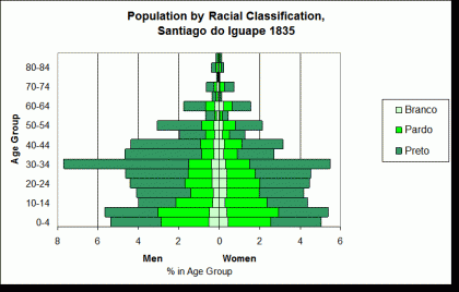 Population Pyramid by Race Iguape 1835